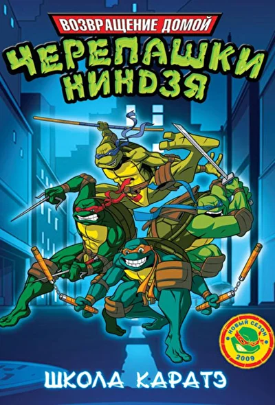 Постер к Мутанты черепашки ниндзя. Новые приключения! (2003)